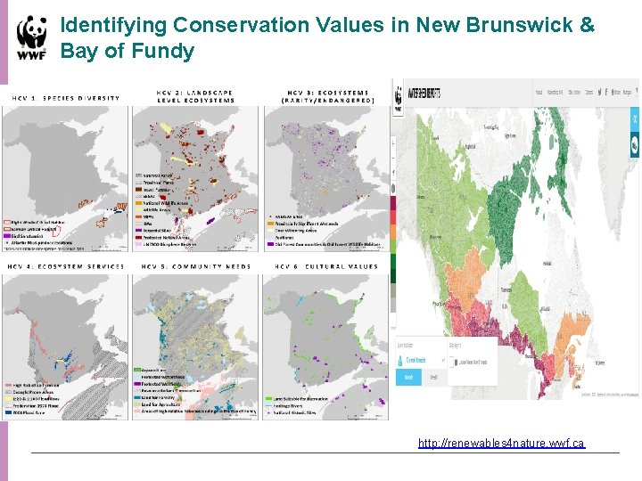 Identifying Conservation Values in New Brunswick & Bay of Fundy http: //renewables 4 nature.