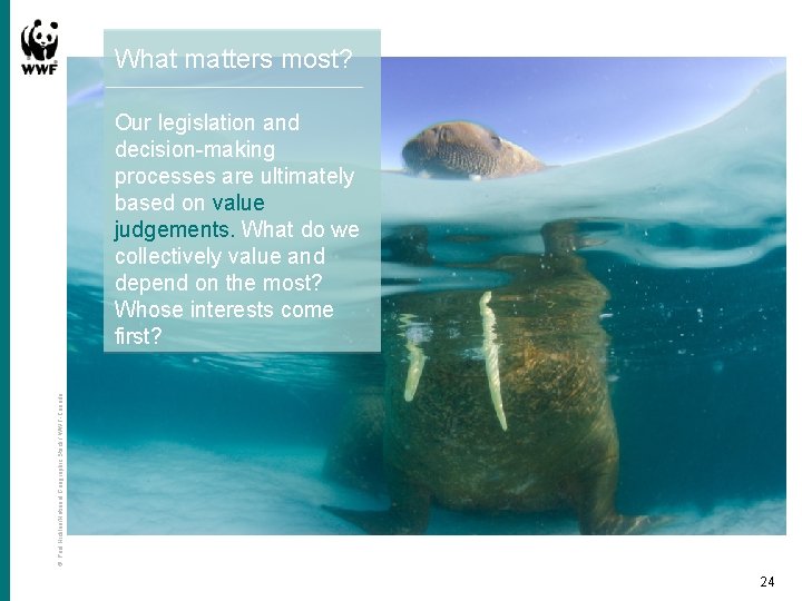 What matters most? © Paul Nicklen/National Geographic Stock / WWF-Canada Our legislation and decision-making
