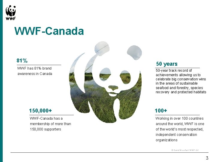 WWF-Canada 81% WWF has 81% brand awareness in Canada 50 years 50 -year track