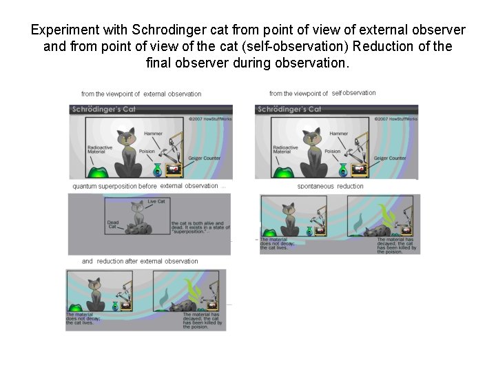 Experiment with Schrodinger cat from point of view of external observer and from point