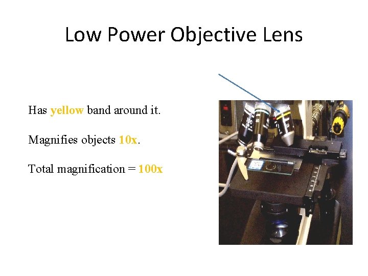 Low Power Objective Lens Has yellow band around it. Magnifies objects 10 x. Total