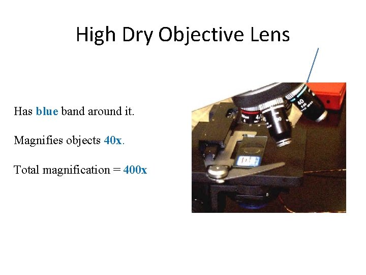 High Dry Objective Lens Has blue band around it. Magnifies objects 40 x. Total