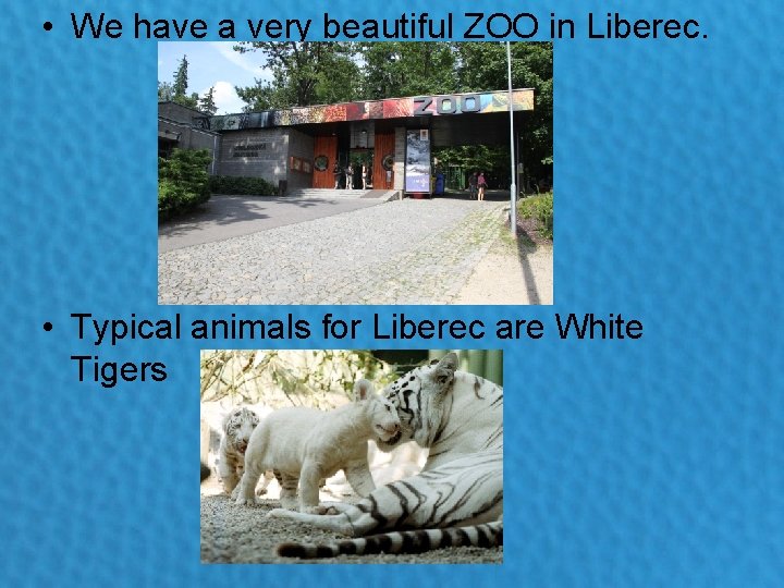  • We have a very beautiful ZOO in Liberec. • Typical animals for