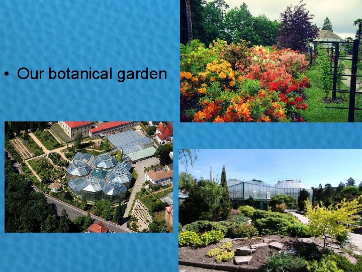  • Our botanical garden 