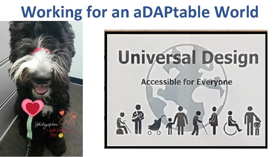 Working for an a. DAPtable World 