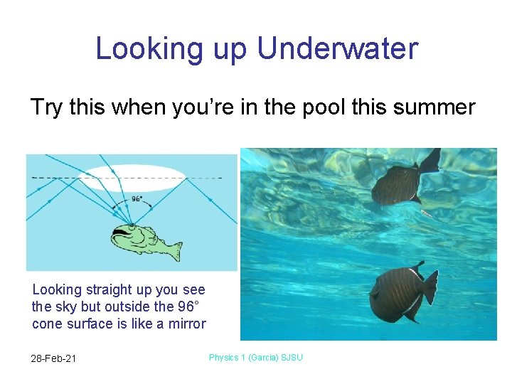 Looking up Underwater Try this when you’re in the pool this summer Looking straight