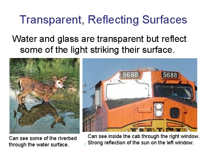 Transparent, Reflecting Surfaces Water and glass are transparent but reflect some of the light