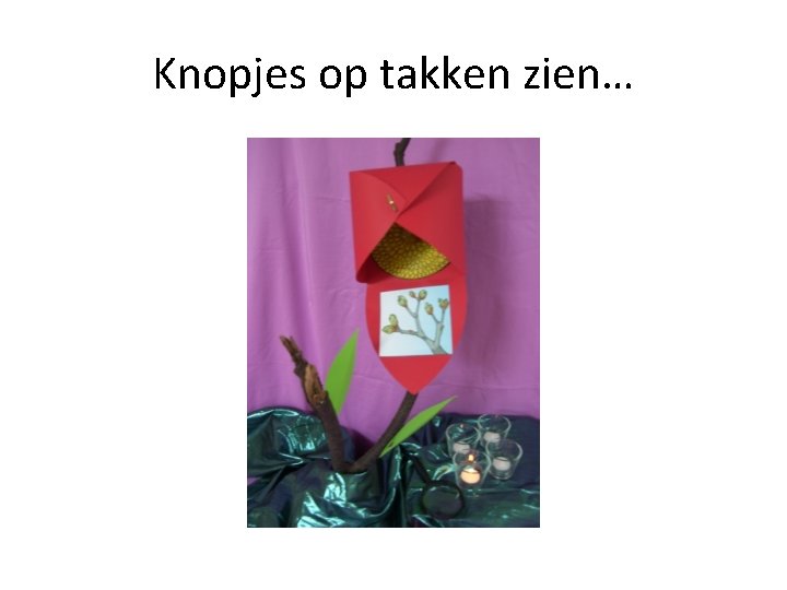 Knopjes op takken zien… 