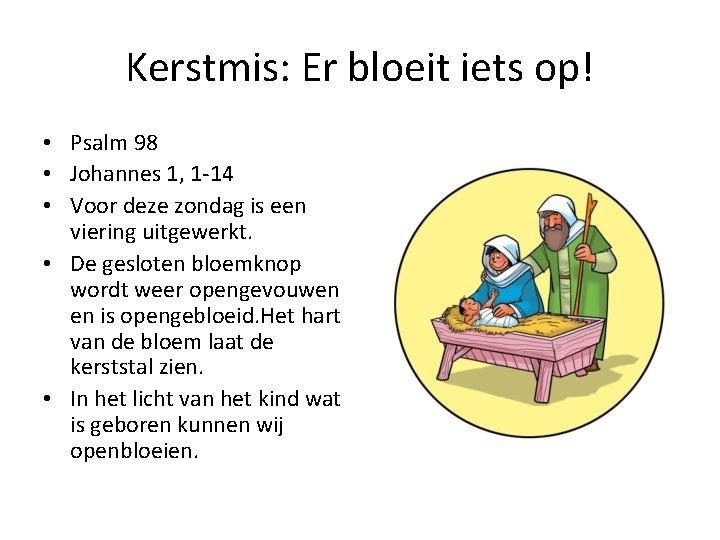 Kerstmis: Er bloeit iets op! • Psalm 98 • Johannes 1, 1 -14 •