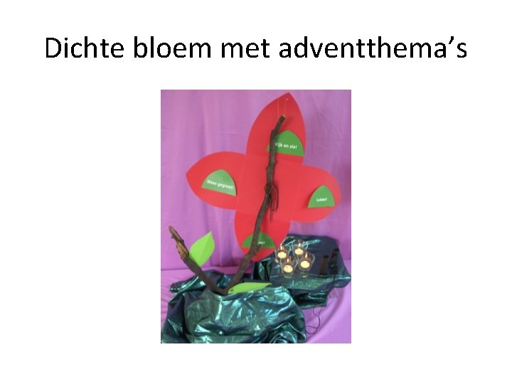 Dichte bloem met adventthema’s 