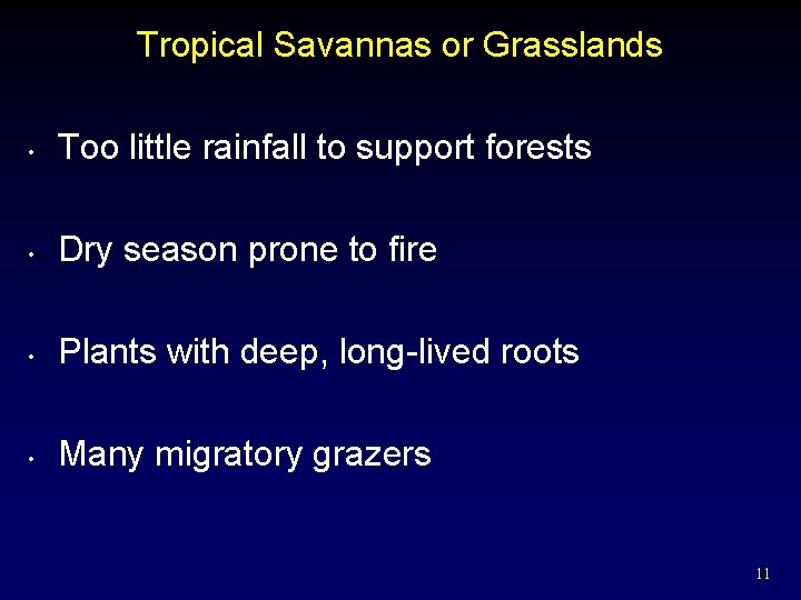 Tropical Savannas or Grasslands • Too little rainfall to support forests • Dry season