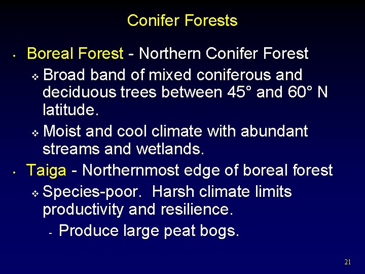 Conifer Forests • • Boreal Forest - Northern Conifer Forest v Broad band of