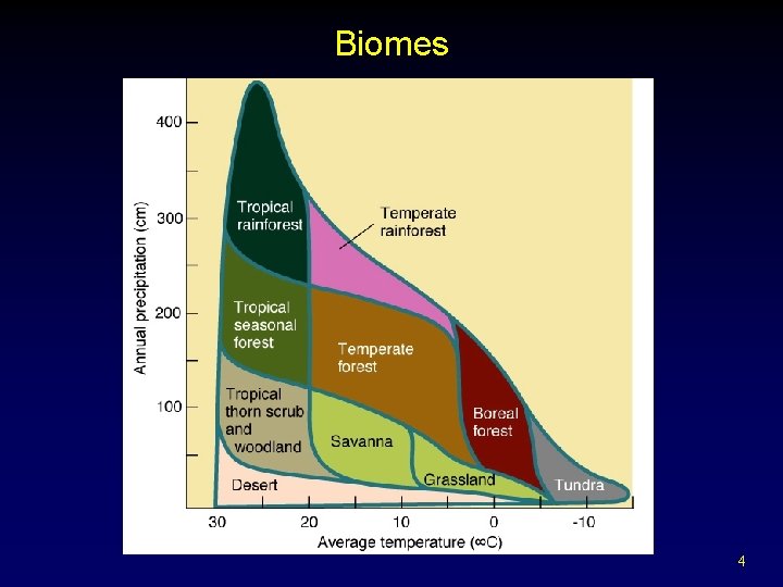 Biomes 4 