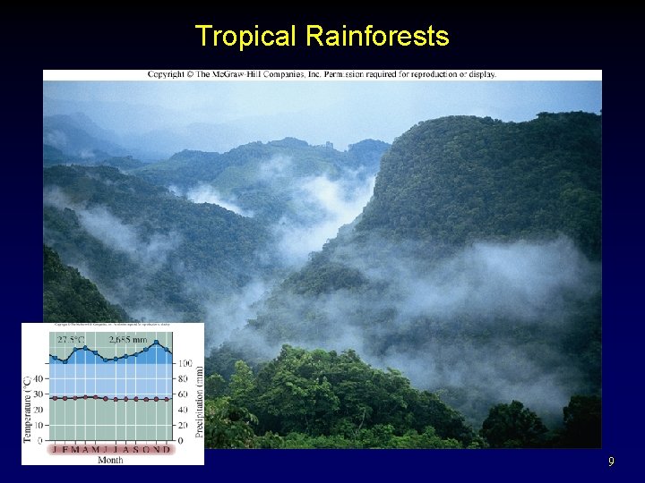 Tropical Rainforests 9 