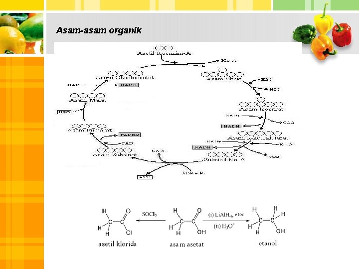 Asam-asam organik 