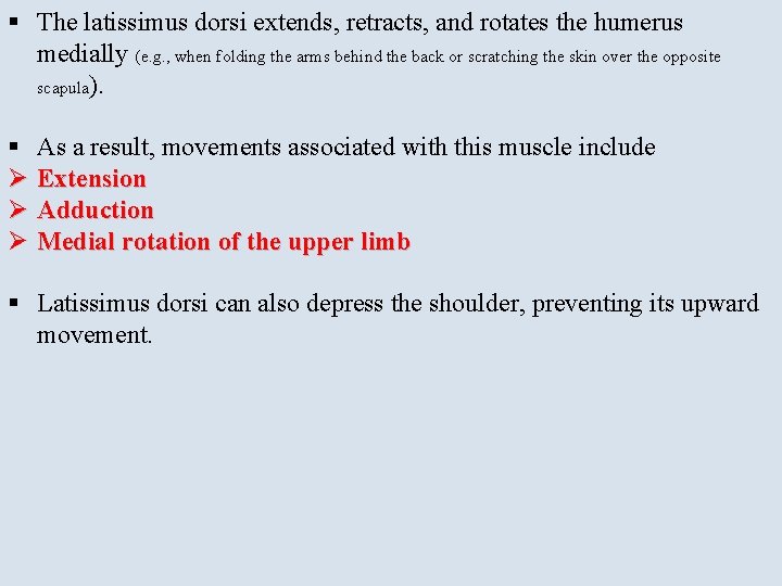 § The latissimus dorsi extends, retracts, and rotates the humerus medially (e. g. ,
