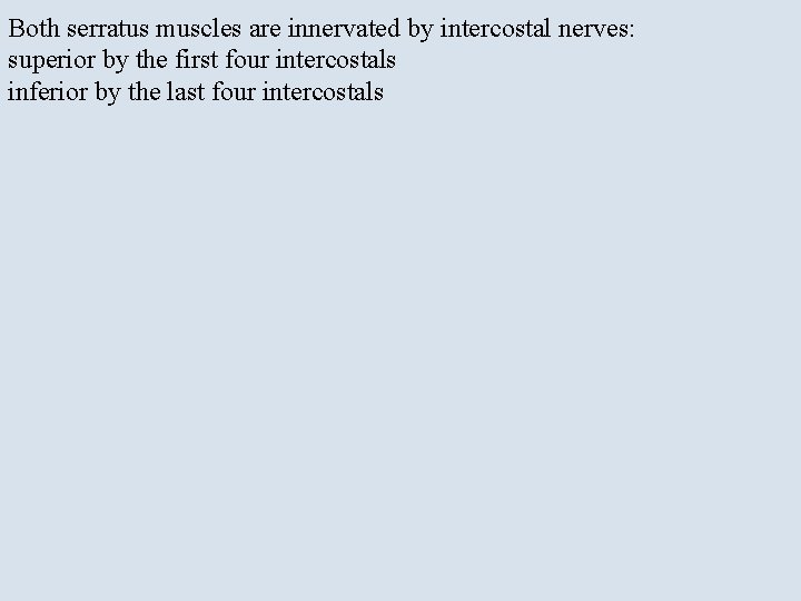 Both serratus muscles are innervated by intercostal nerves: superior by the first four intercostals