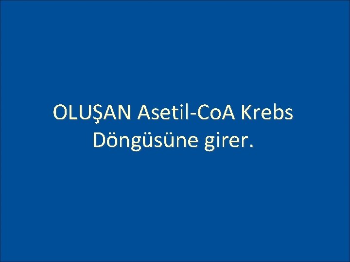 OLUŞAN Asetil-Co. A Krebs Döngüsüne girer. 