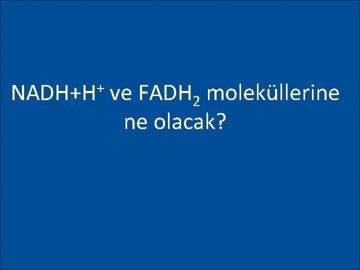 + NADH+H ve FADH 2 moleküllerine ne olacak? 