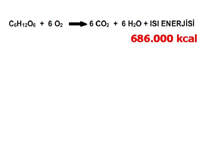 686. 000 kcal 277. 400 kcal 