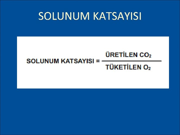 SOLUNUM KATSAYISI 