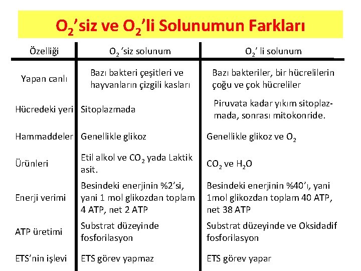 O 2’siz ve O 2’li Solunumun Farkları Özelliği O 2 ‘siz solunum O 2’