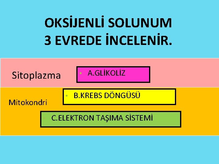 OKSİJENLİ SOLUNUM 3 EVREDE İNCELENİR. Sitoplazma Mitokondri • • • A. GLİKOLİZ B. KREBS