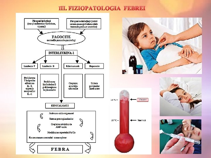  III. FIZIOPATOLOGIA FEBREI 