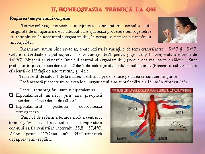  II. HOMEOSTAZIA TERMICǍ LA OM Reglarea temperaturii corpului Termoreglarea, respectiv menținerea temperaturii corpului