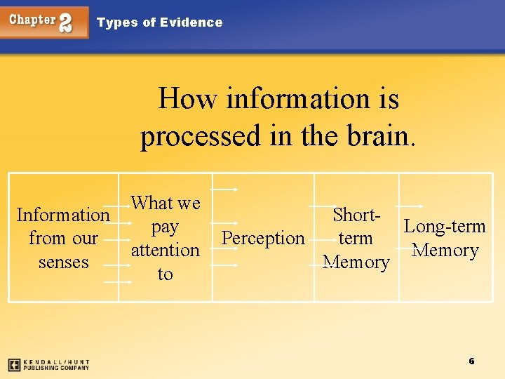 Types of Evidence How information is processed in the brain. Information from our senses