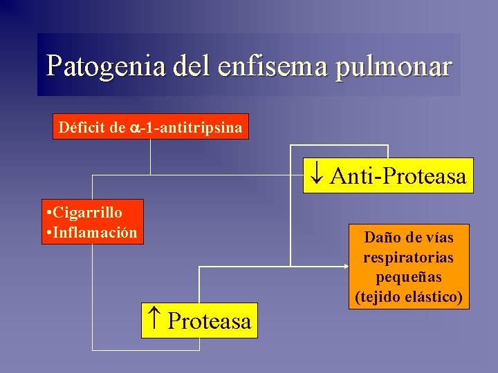 Patogenia del enfisema pulmonar Déficit de a-1 -antitripsina Anti-Proteasa • Cigarrillo • Inflamación Proteasa