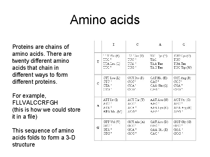 Amino acids Proteins are chains of amino acids. There are twenty different amino acids