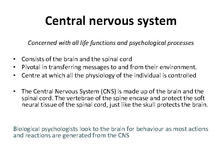 Central nervous system Concerned with all life functions and psychological processes • Consists of