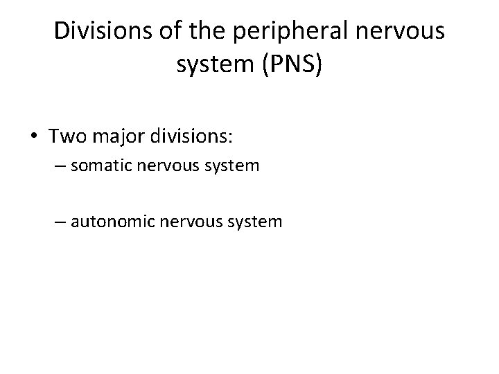 Divisions of the peripheral nervous system (PNS) • Two major divisions: – somatic nervous