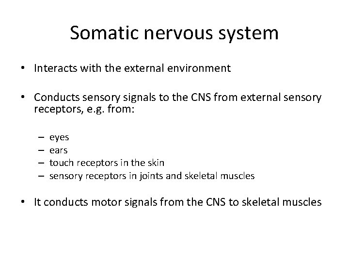 Somatic nervous system • Interacts with the external environment • Conducts sensory signals to
