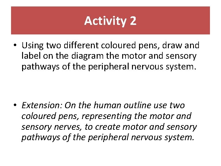 Activity 2 • Using two different coloured pens, draw and label on the diagram