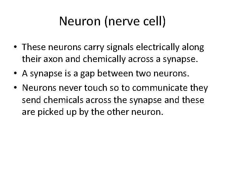 Neuron (nerve cell) • These neurons carry signals electrically along their axon and chemically