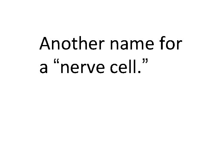 Another name for a “nerve cell. ” 