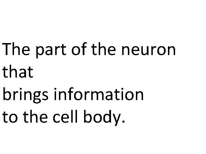 The part of the neuron that brings information to the cell body. 