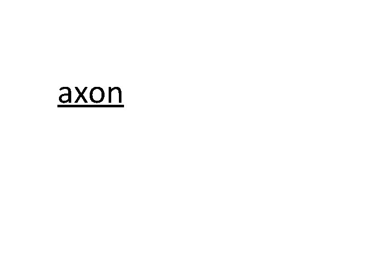axon 