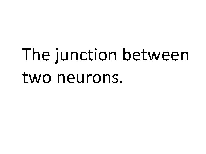 The junction between two neurons. 