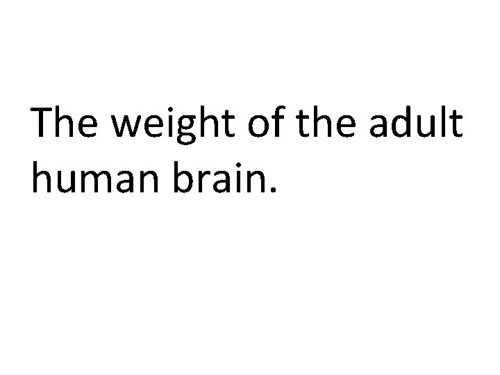 The weight of the adult human brain. 