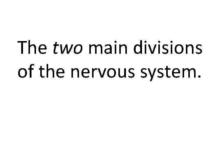 The two main divisions of the nervous system. 