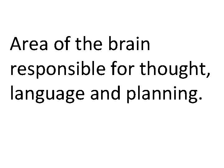 Area of the brain responsible for thought, language and planning. 
