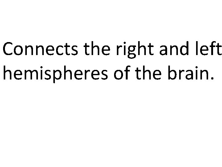 Connects the right and left hemispheres of the brain. 
