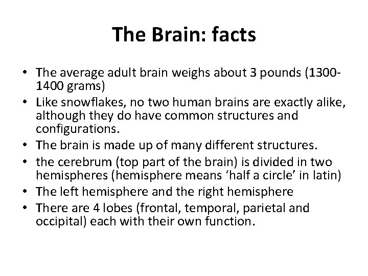 The Brain: facts • The average adult brain weighs about 3 pounds (13001400 grams)