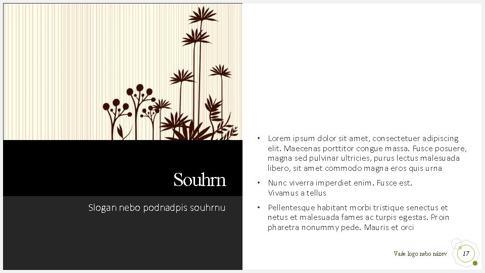 Souhrn Slogan nebo podnadpis souhrnu • Lorem ipsum dolor sit amet, consectetuer adipiscing elit.