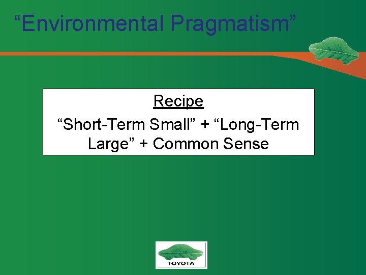 “Environmental Pragmatism” Recipe “Short-Term Small” + “Long-Term Large” + Common Sense 