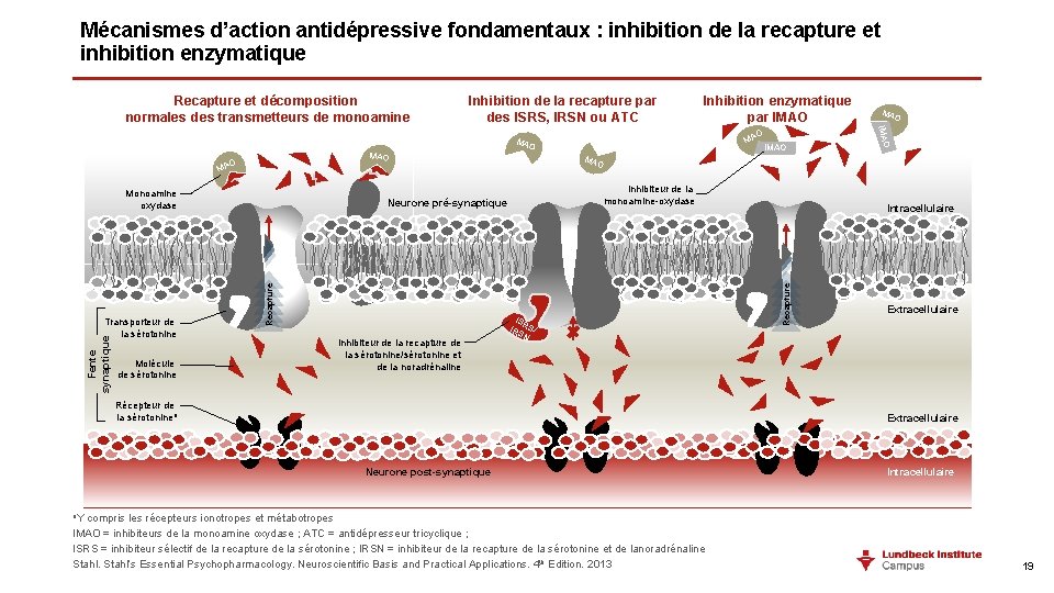 Mécanismes d’action antidépressive fondamentaux : inhibition de la recapture et inhibition enzymatique Inhibition de