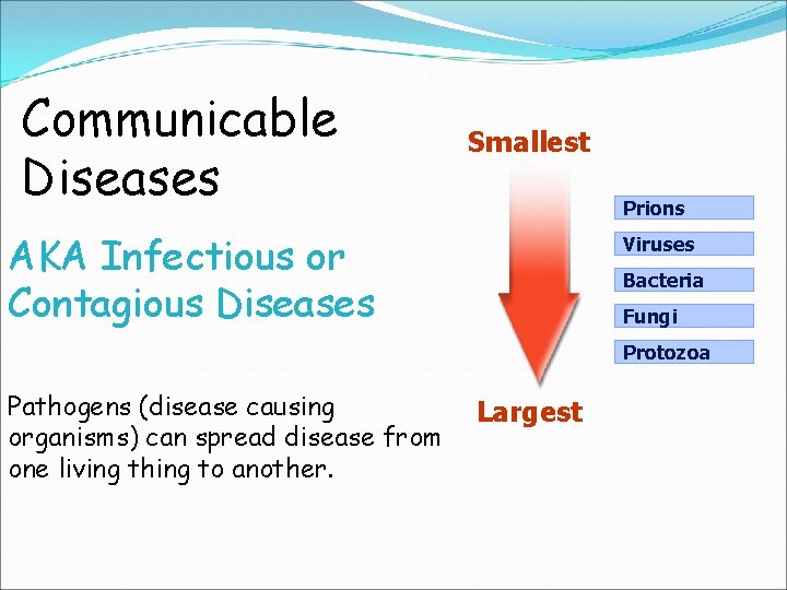 Communicable Diseases Smallest Prions AKA Infectious or Contagious Diseases Viruses Bacteria Fungi Protozoa Pathogens